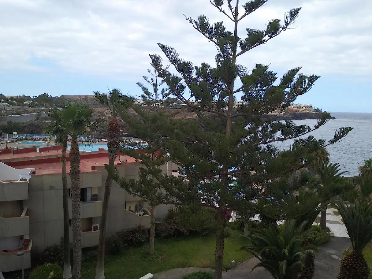 Garden View Apartment In Las Galletas Arona